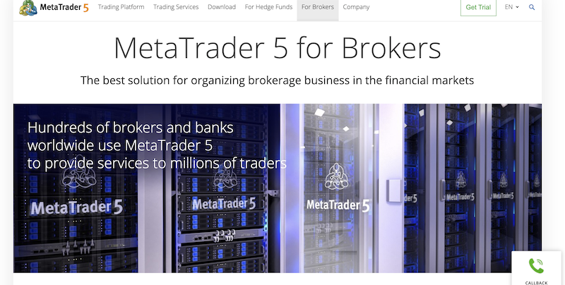 MetaTrader review brokers